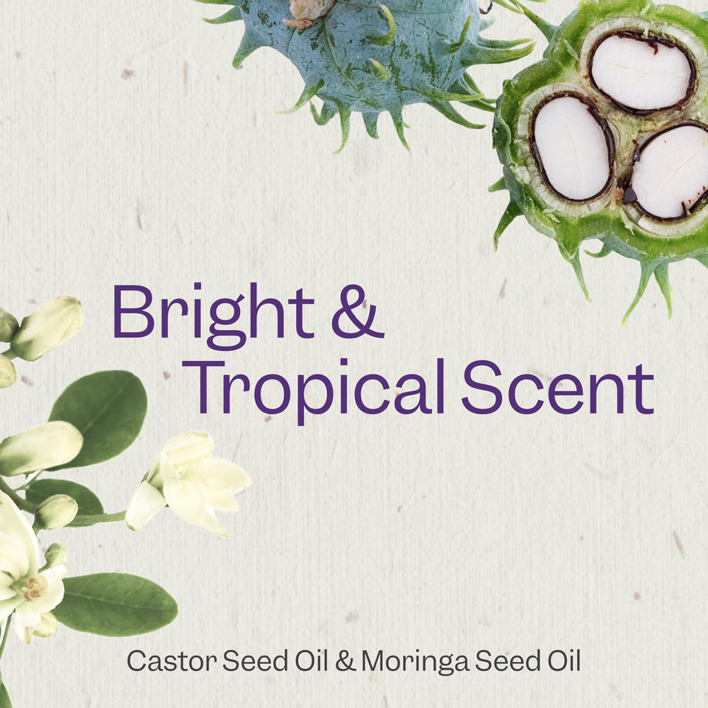 Shampoo lather for enhanced curl definition with Renpure Castor Oil & Moringa