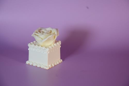 Renshaw white fondant icing 2.2 lb package ready for versatile decorating