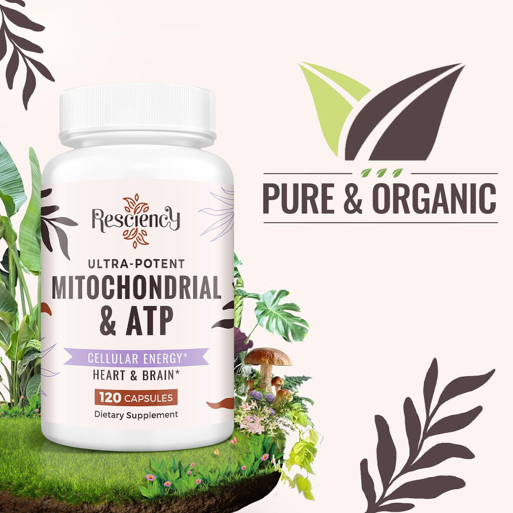 Resciency trans-resveratrol turmeric blend close-up with antioxidant protection