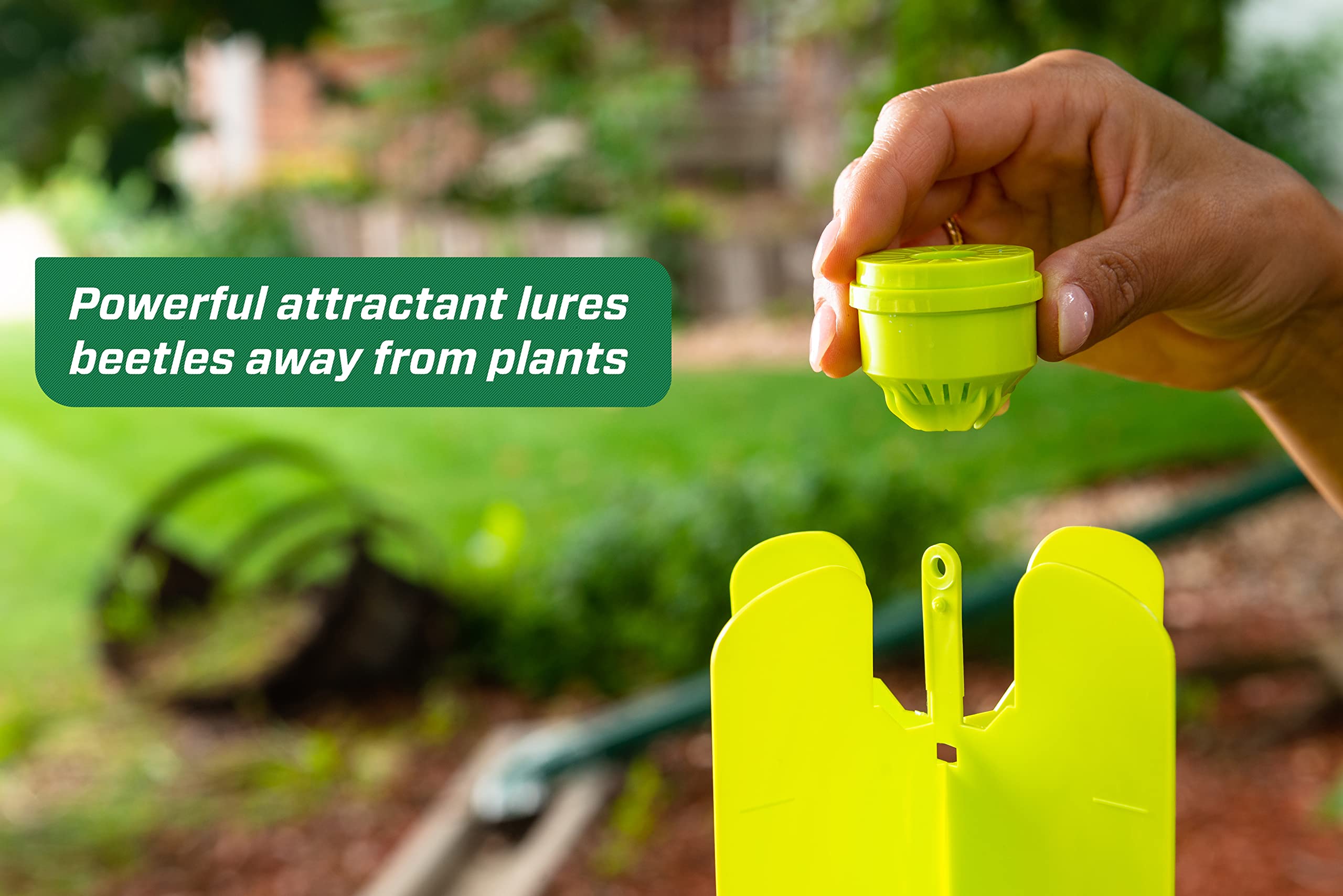 RESCUE! Japanese Beetle Trap features large green panels that lure beetles away from plants.