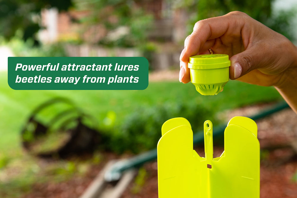 RESCUE! Japanese Beetle Trap features large green panels that lure beetles away from plants.