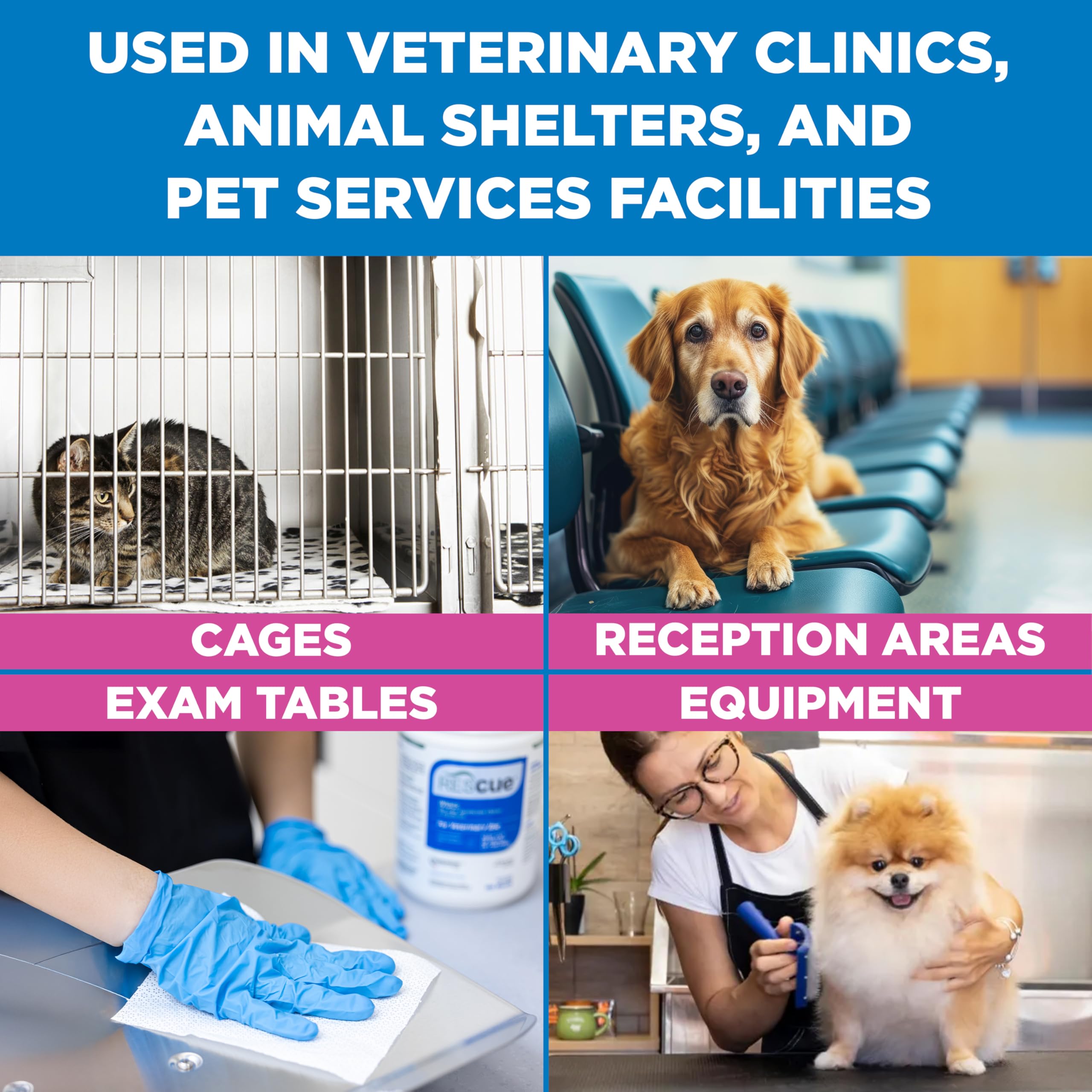 REScue disinfectant wipes on pet grooming surfaces; sanitize tools between pets.