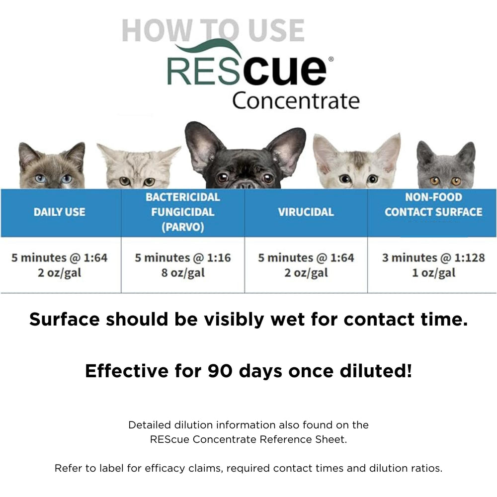 REScue in kennels and shelters supports safe pet spaces.