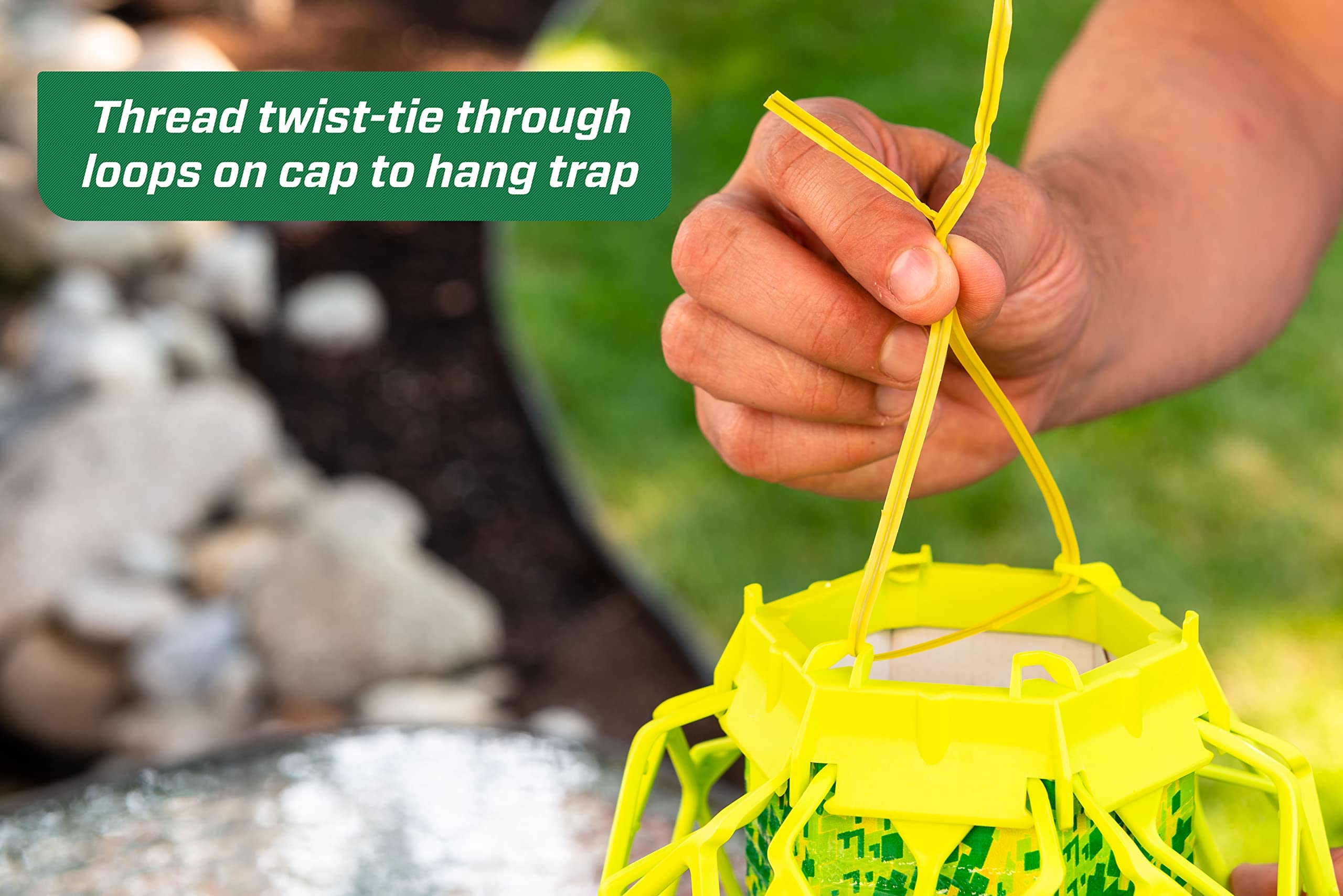 RESCUE! VisiLure TrapStik sticky surface captures pests without sprays