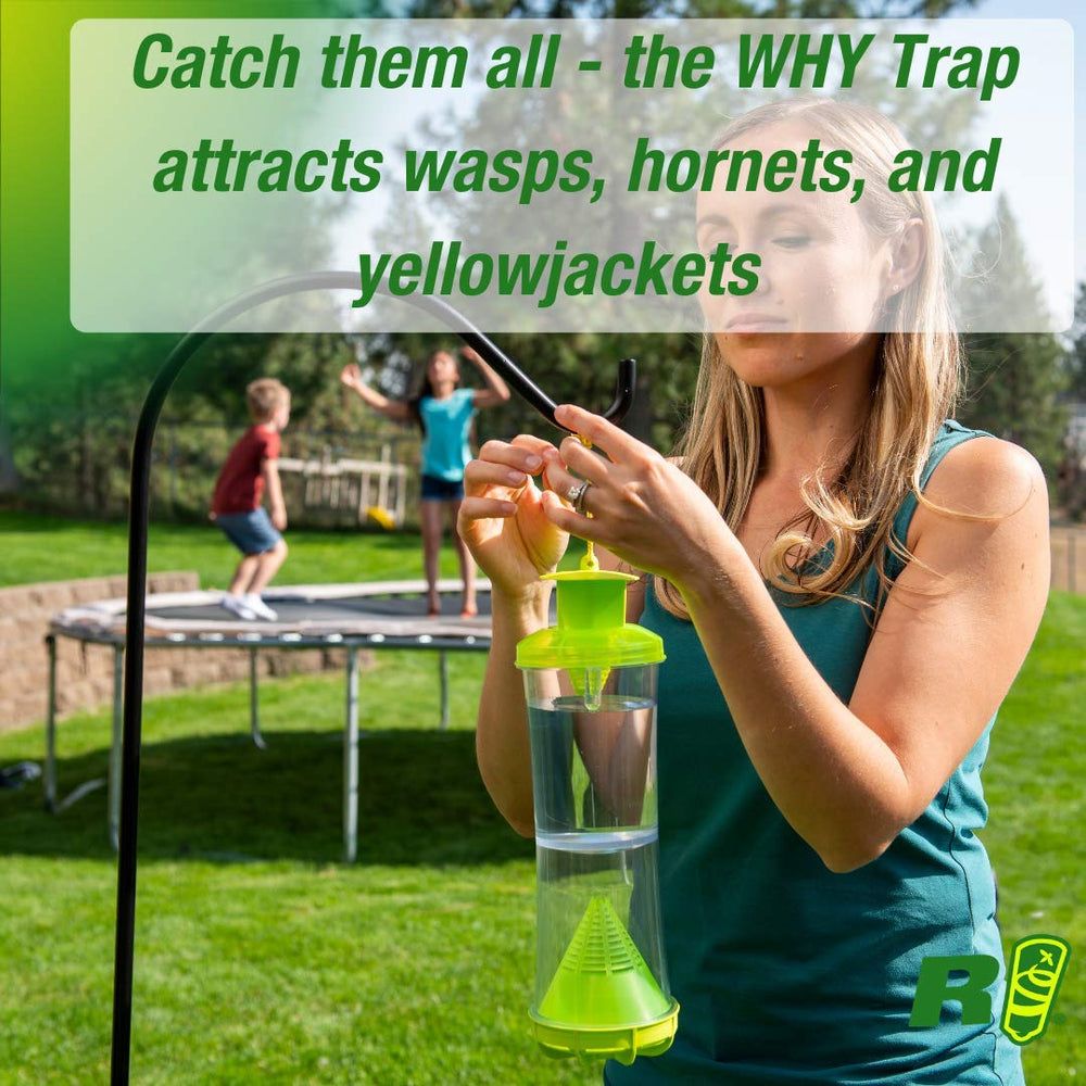 RESCUE! Why Trap refill components inside the trap attract hornets safely outdoors.