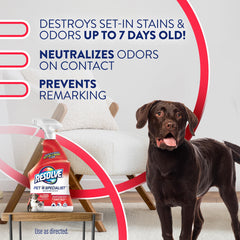 Resolve stain remover action visibly lifting carpet stains