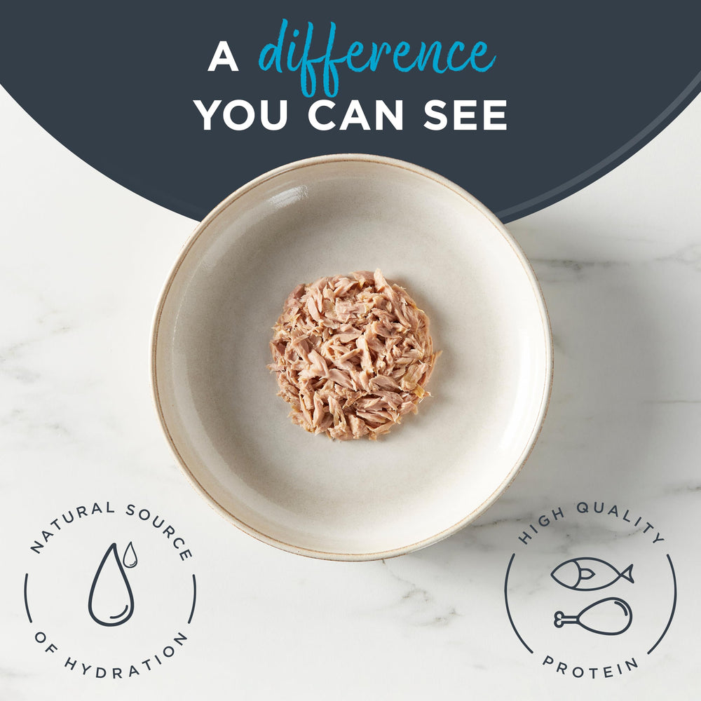 Reveal grain-free limited-ingredient formula communicates simple, clean nutrition for cats.