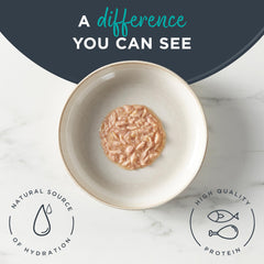 Reveal limited-ingredients grain-free formula for simple, high-quality cat nourishment.