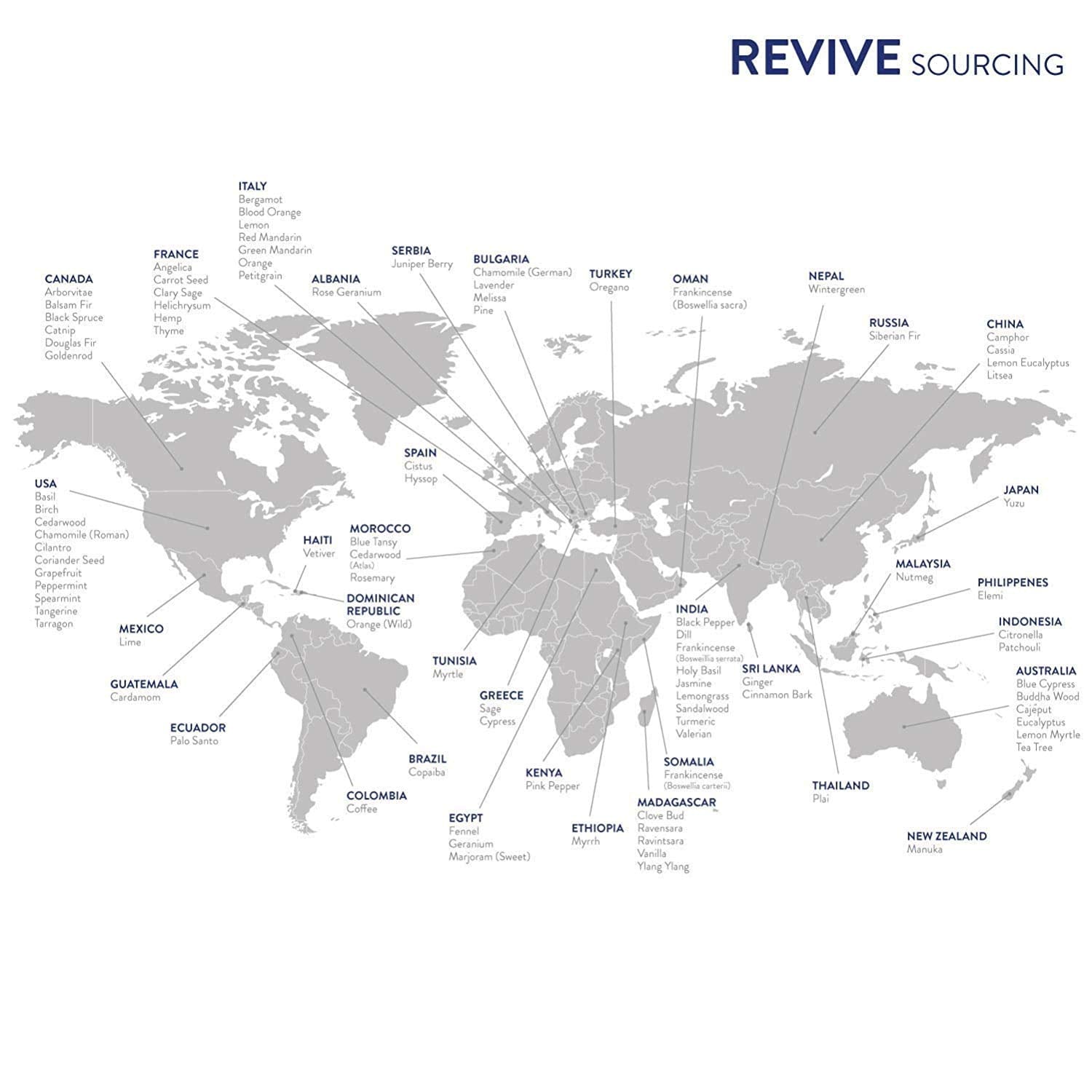 REVIVEEO Lavender Essential Oil used in skincare and hair care routines