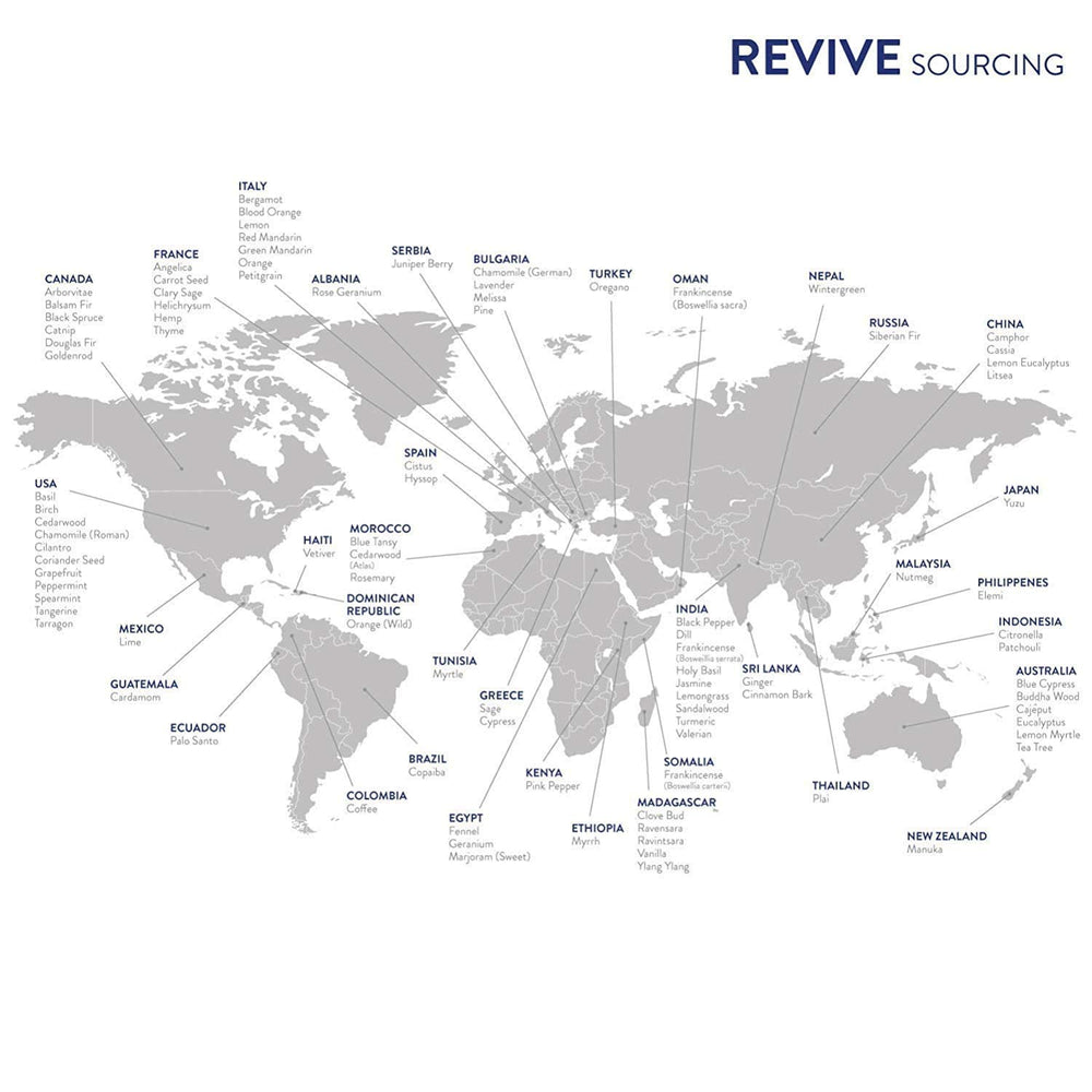 REVIVEEO Lavender Essential Oil used in skincare and hair care routines