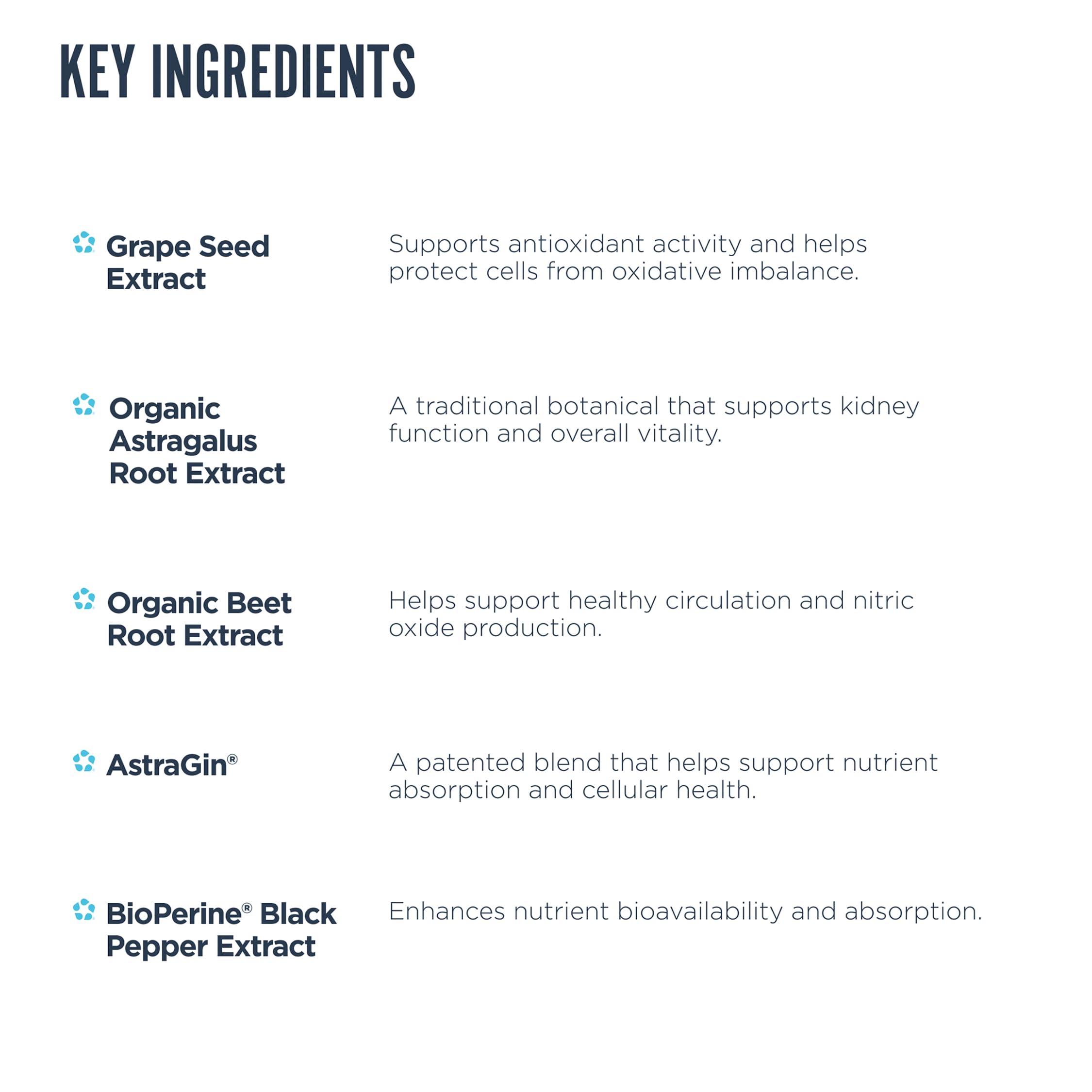 Revive MD Kidney Support label detail showing vegan, gluten-free, soy-free attributes
