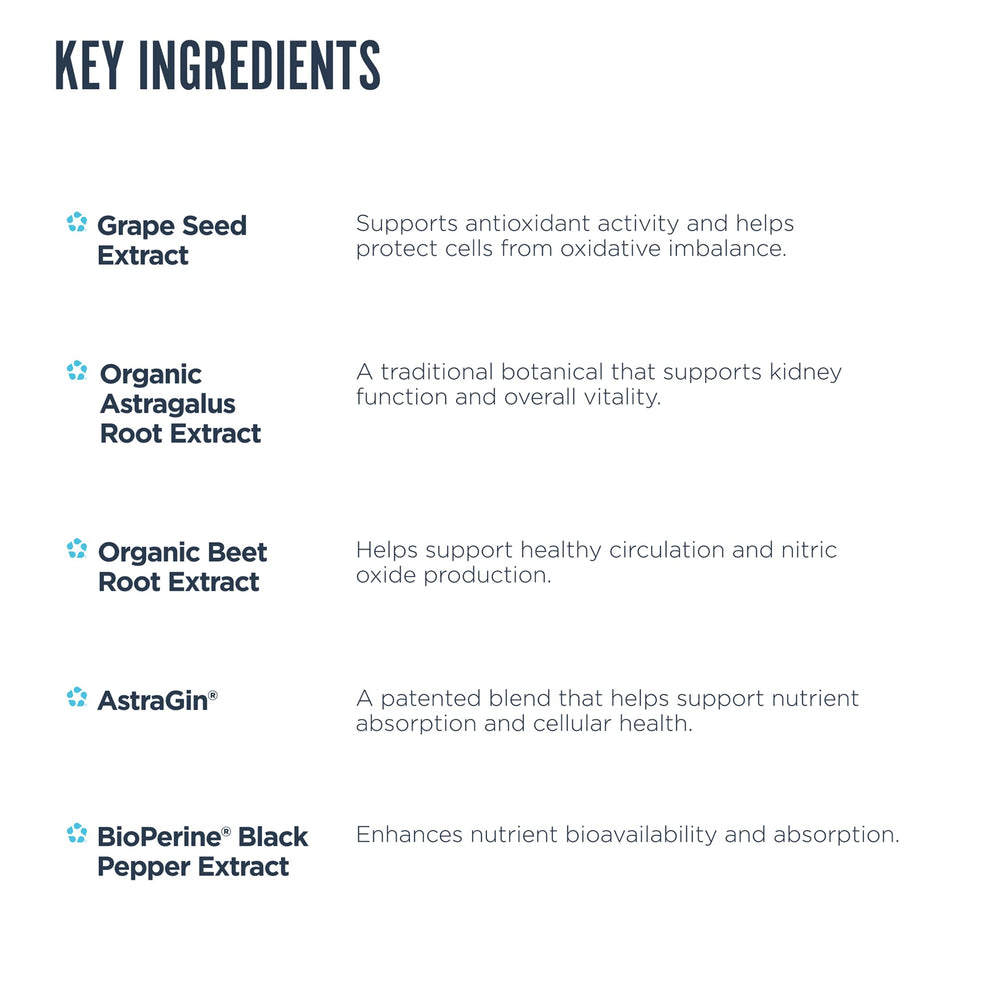 Revive MD Kidney Support label detail showing vegan, gluten-free, soy-free attributes