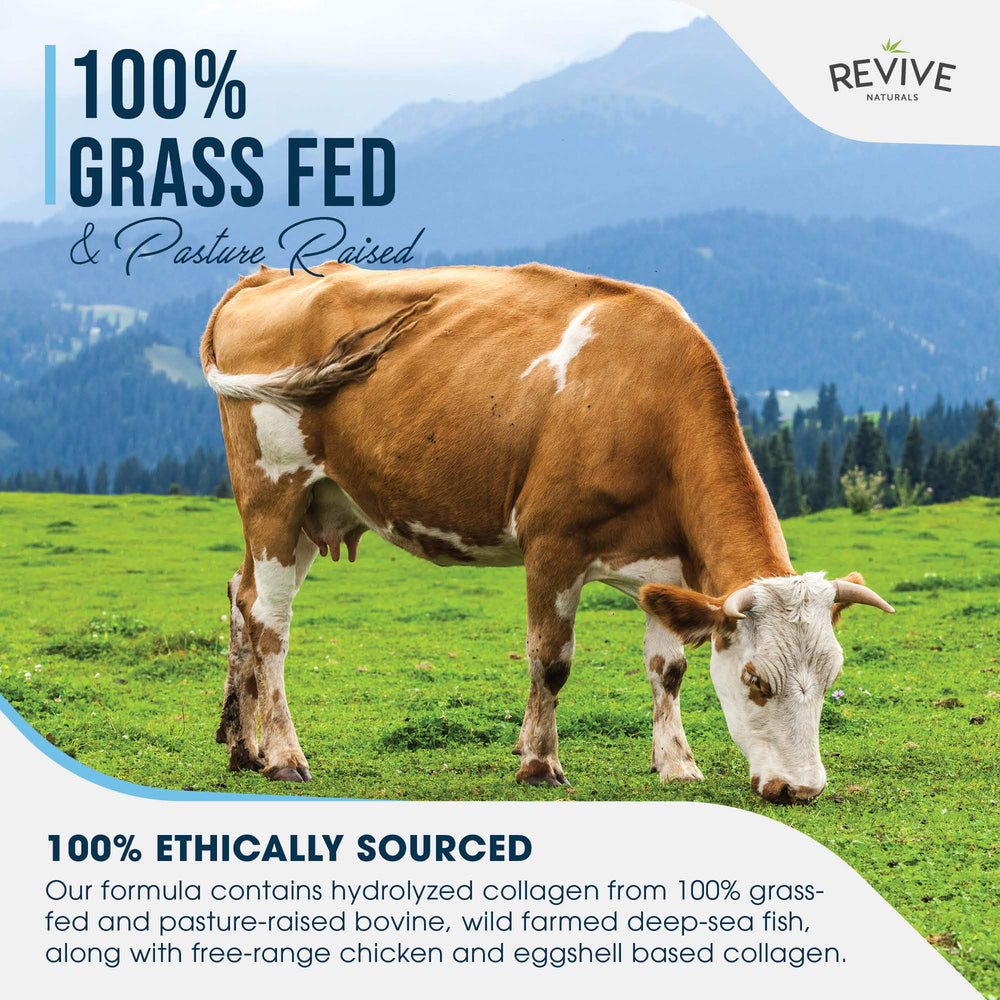 Revive Naturals grass-fed bovine collagen provides protein per scoop