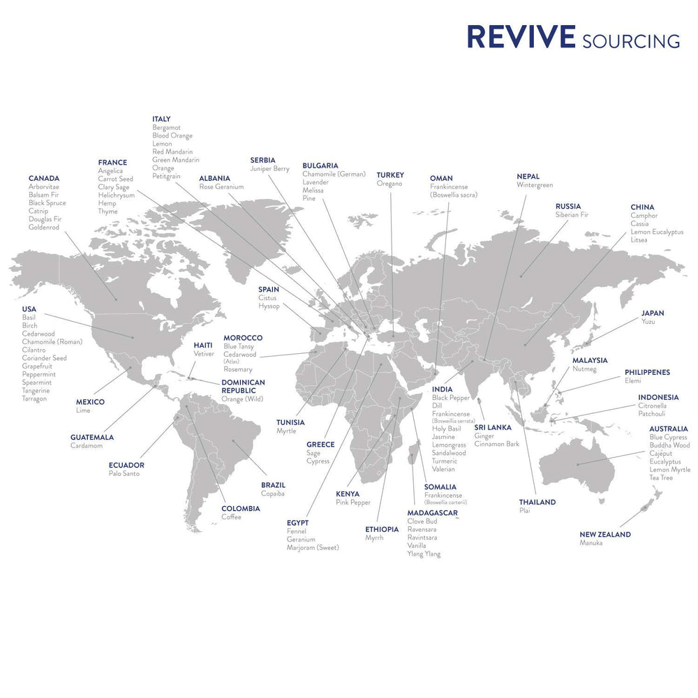 REVIVEEO Lavender Oil for skin care enhances daily routine