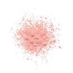 Close-up of the powder sieve showing the fine Rose texture for even setting