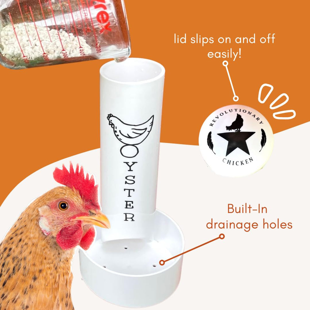 Revolutionary Chicken combo feeder offers both calcium and grit in one setup.