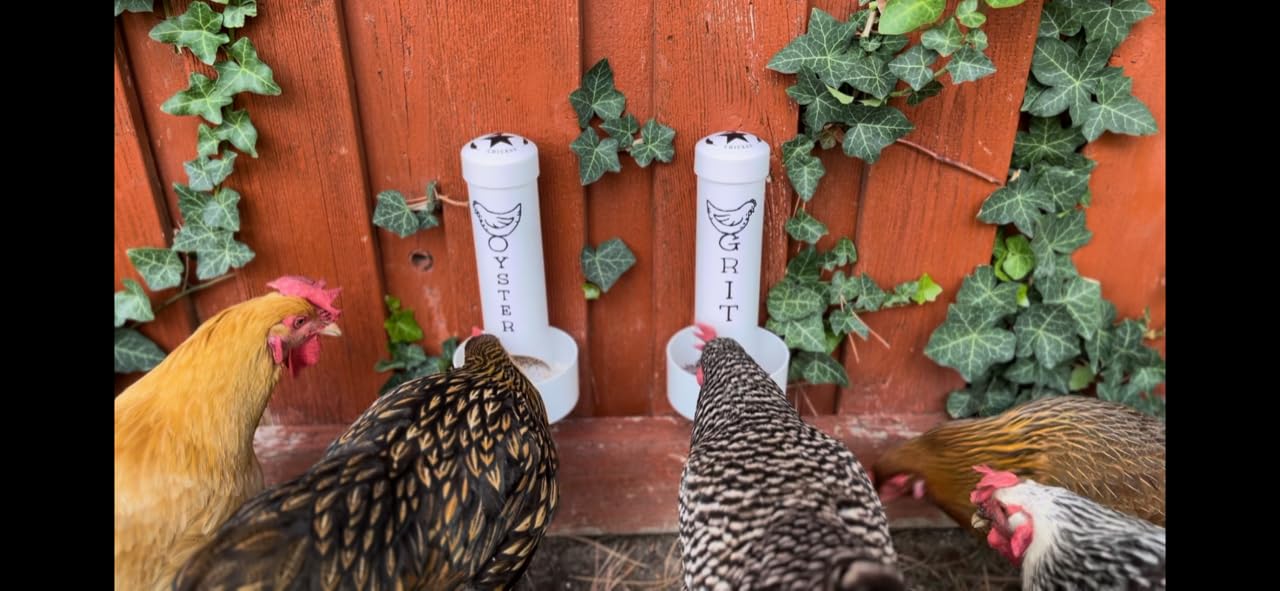 Revolutionary Chicken coop-ready feeders fit snugly in most coops.