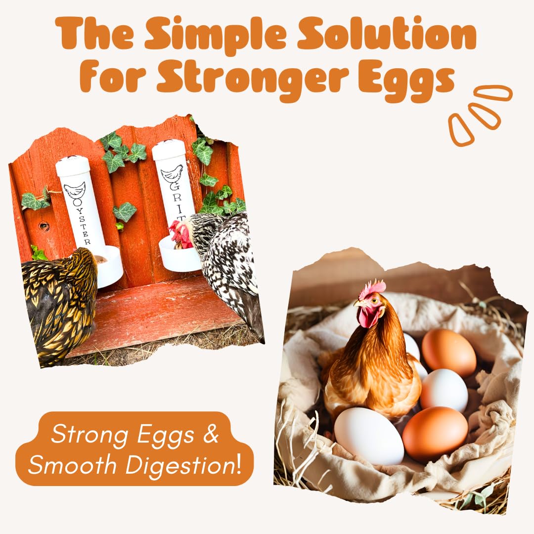 Revolutionary Chicken drainage holes keep water out while shell and grit stay dry.