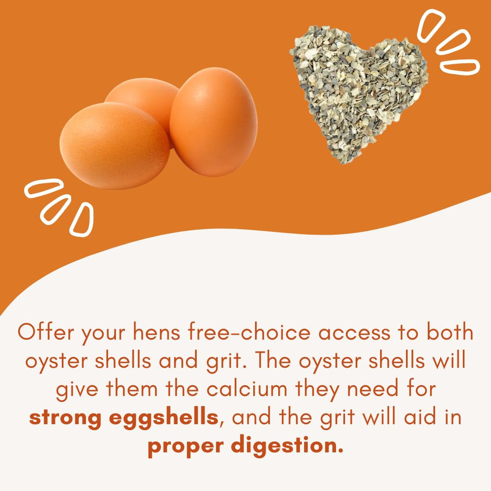 Revolutionary Chicken feeder provides a safe calcium option for roosters without pressure.