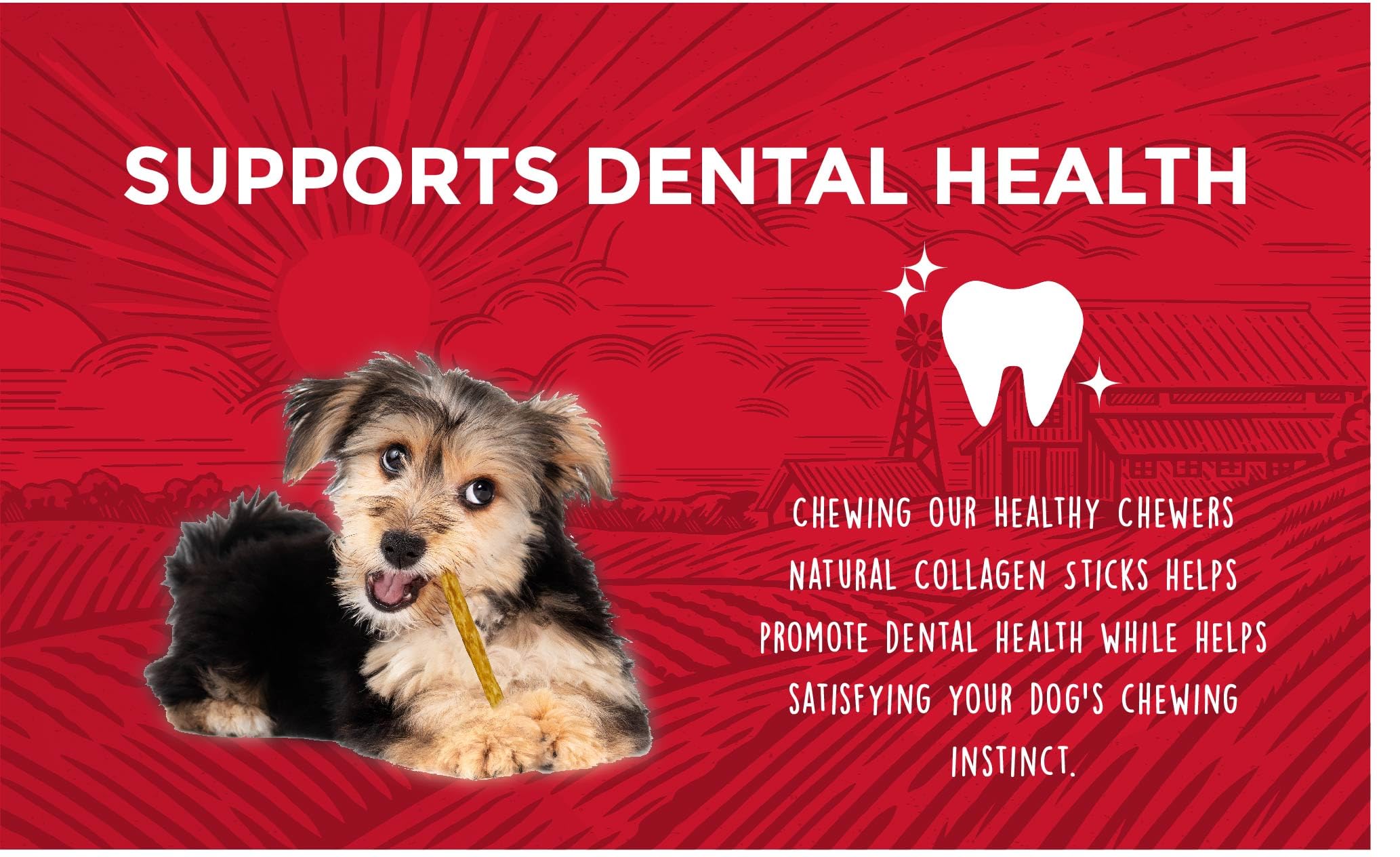 Rewardables limited-ingredient dog chews appear simple and easily digestible.