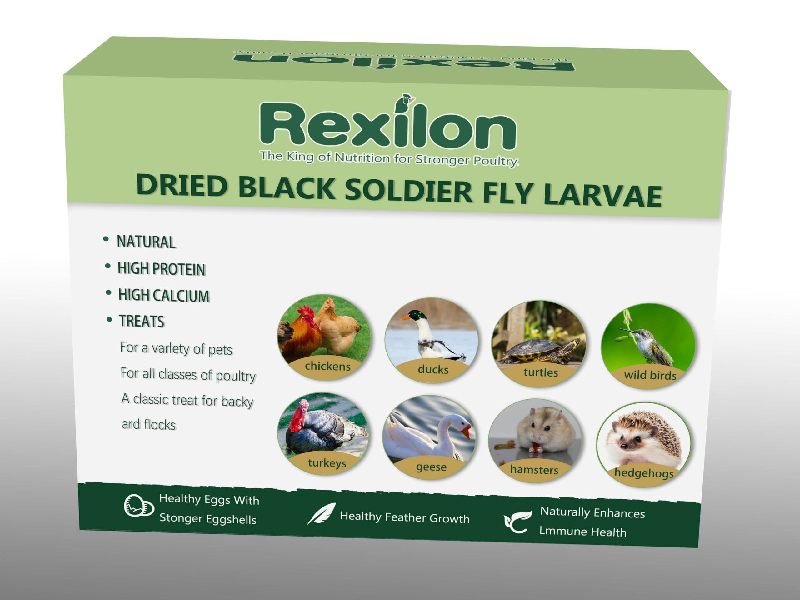 Rexilon dried BSF larvae product shot, premium quality feed option for poultry care.