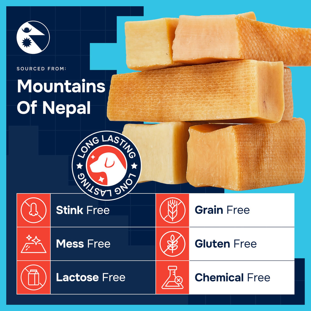 REXIPETS yak chews for medium dogs, long-lasting engagement and dental support.