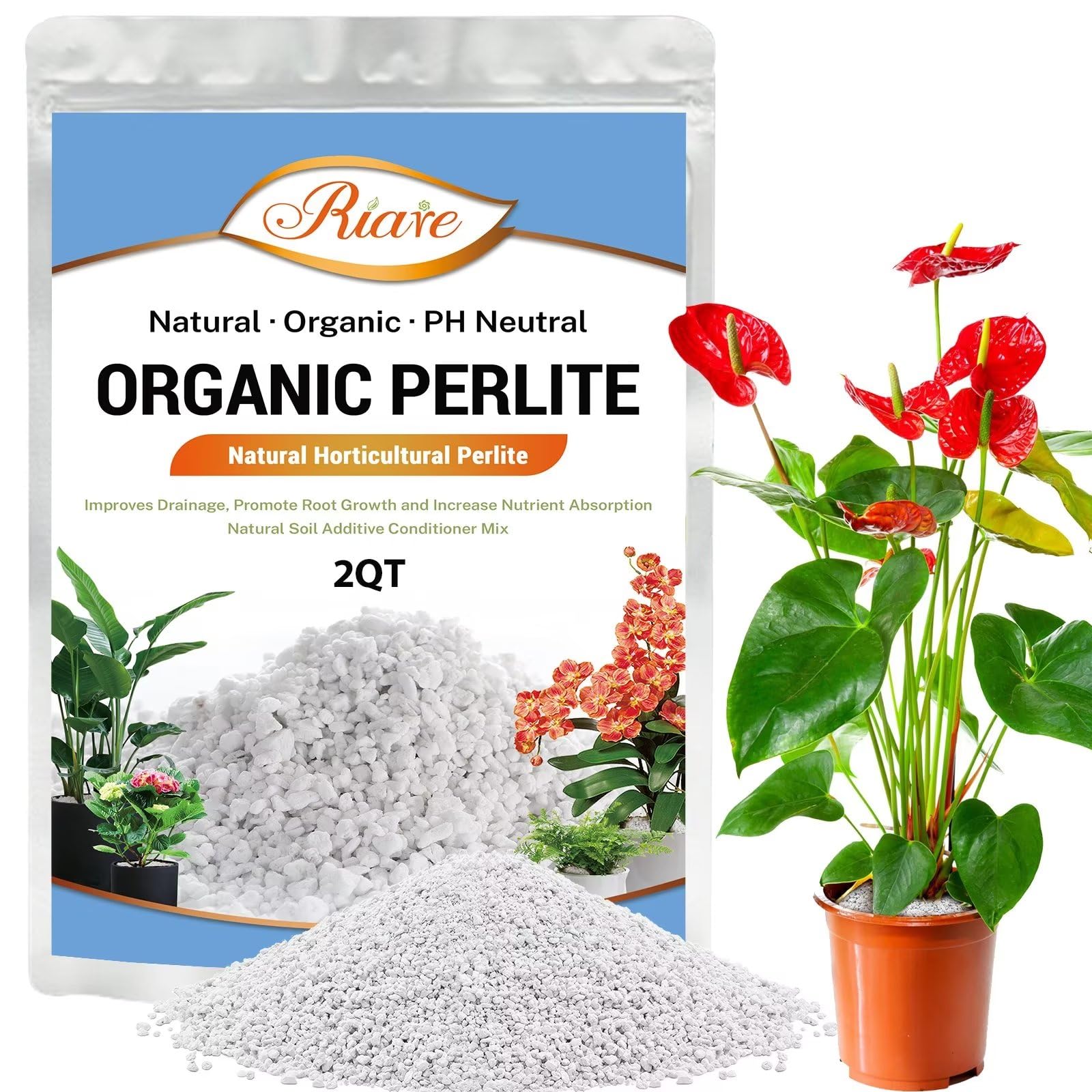 Riare organic perlite for plants with porous texture improves soil aeration and root health.