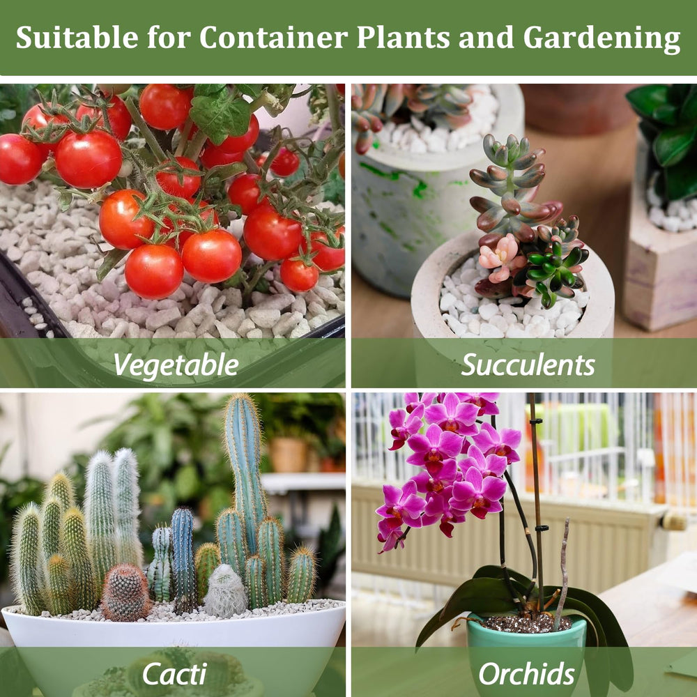 Riare perlite enriches orchid and tropical plant soil with drainage.