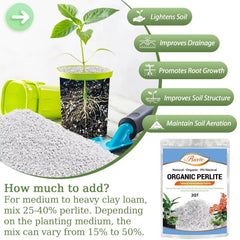 Riare horticultural perlite blends with soil for reliable moisture balance.
