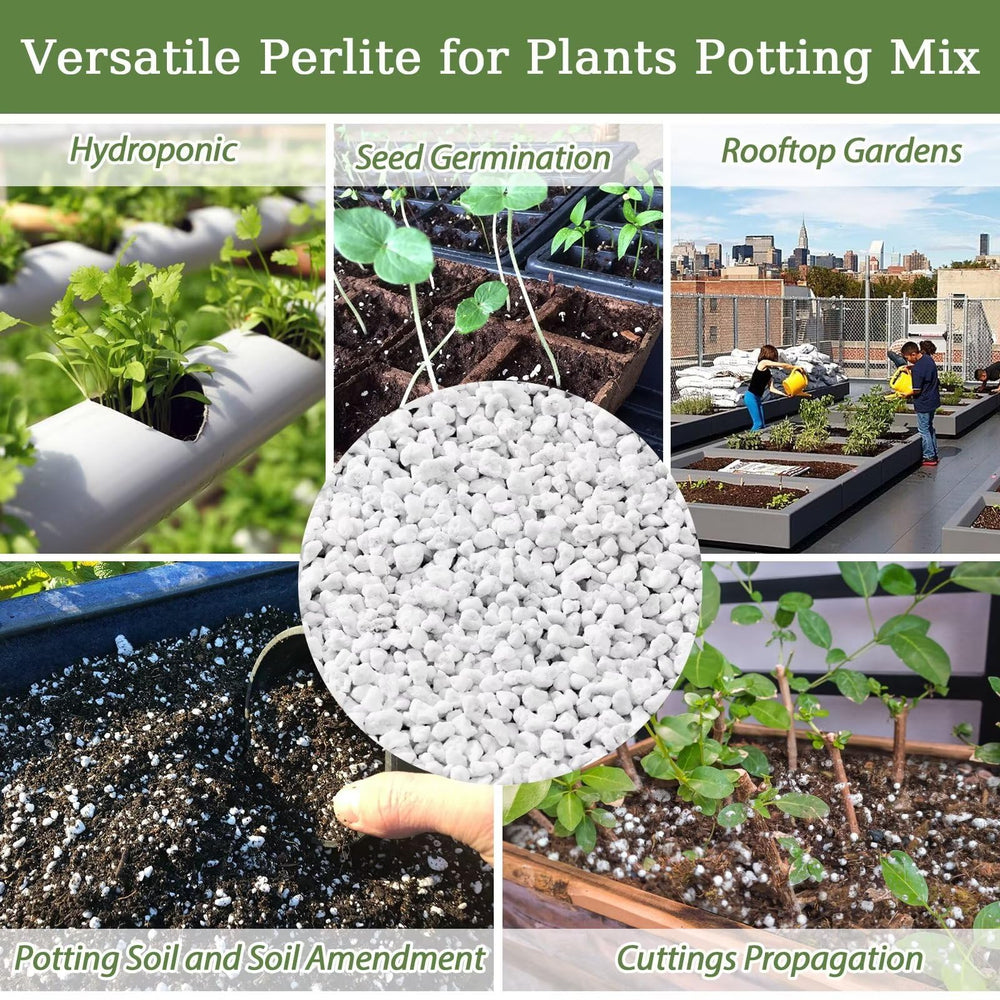 Riare perlite promotes robust root growth with improved air and moisture balance.