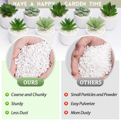 Riare perlite texture close-up shows chunky structure for potting mixes.