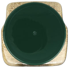 Serving Texmati Brown Rice in a bowl emphasizes its nutty aroma and light texture.