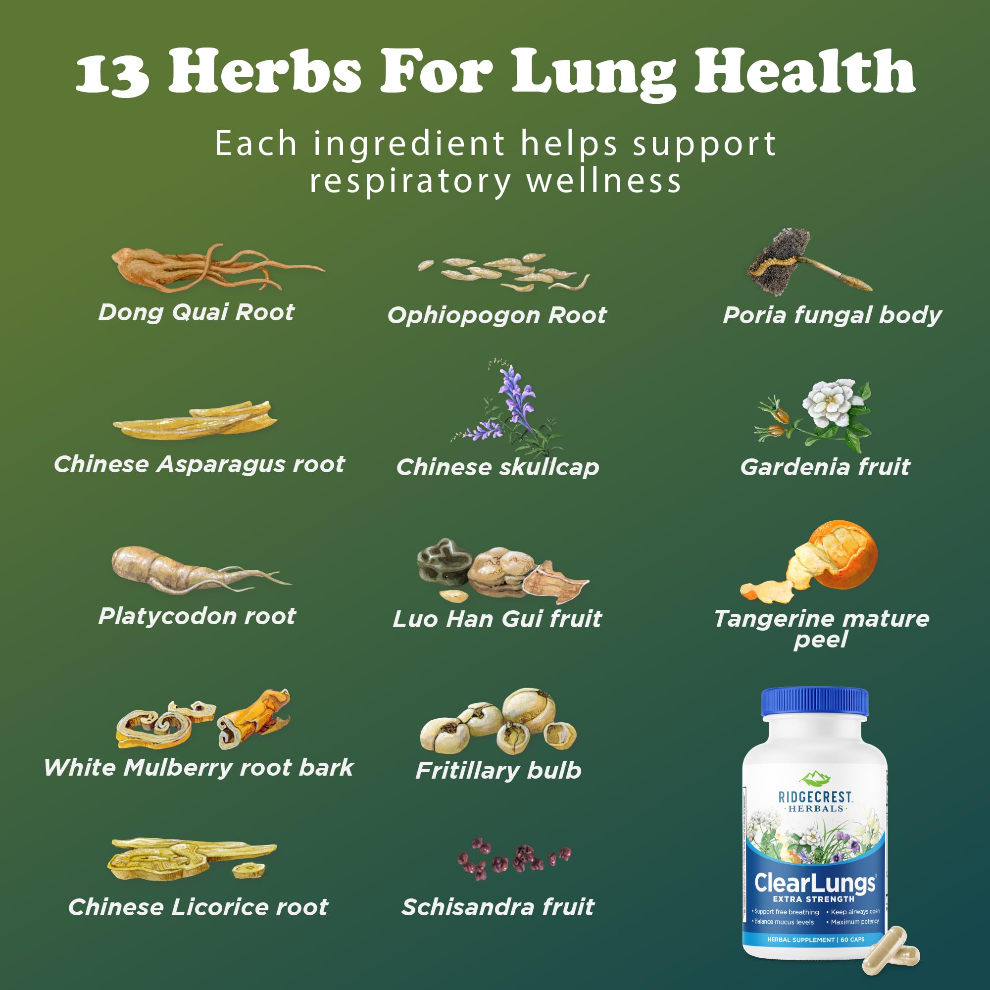 RidgeCrest ClearLungs lifestyle use scene with active person seeking seasonal support.
