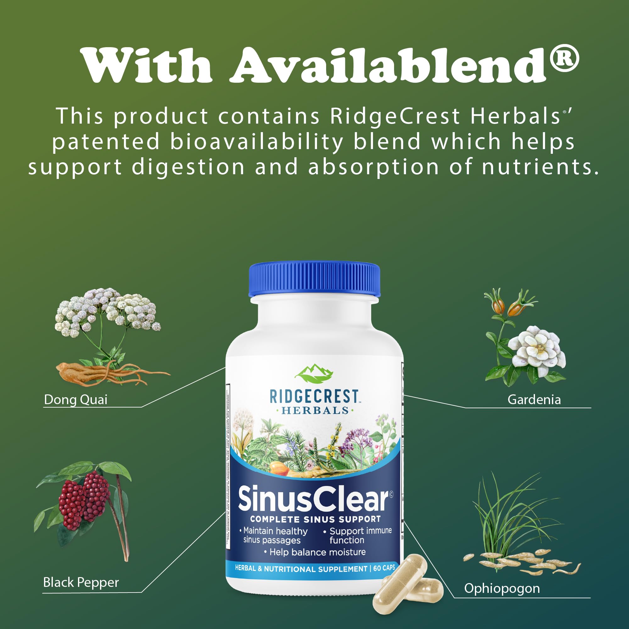 RidgeCrest SinusClear olive-leaf-extract close-up, for seasonal nasal comfort.