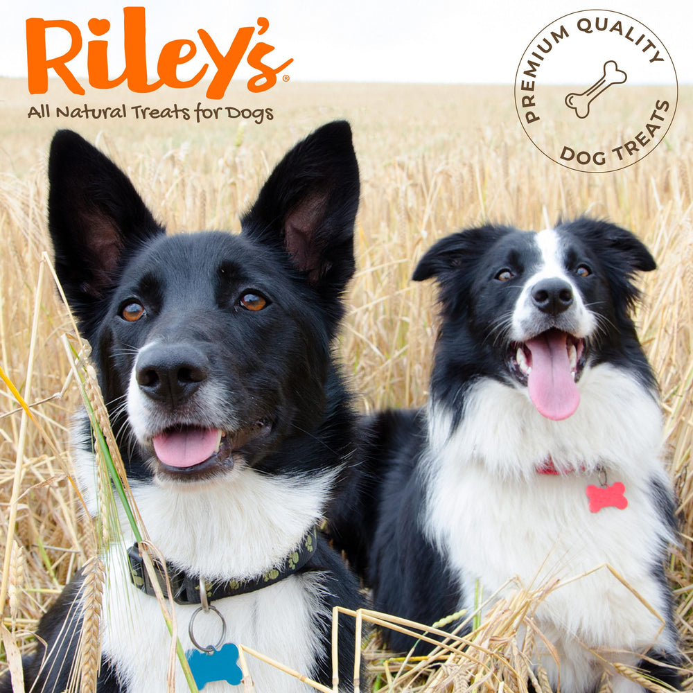 Riley's Pill Wrap hero product pack shot emphasizes packaging.