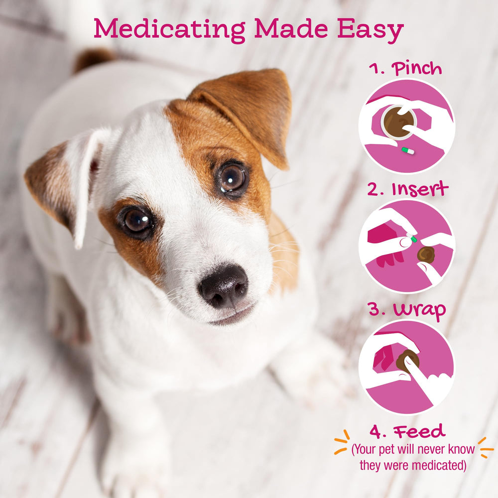 Riley's Pill Wrap moldable paste texture closeup highlights flexible pill coating.