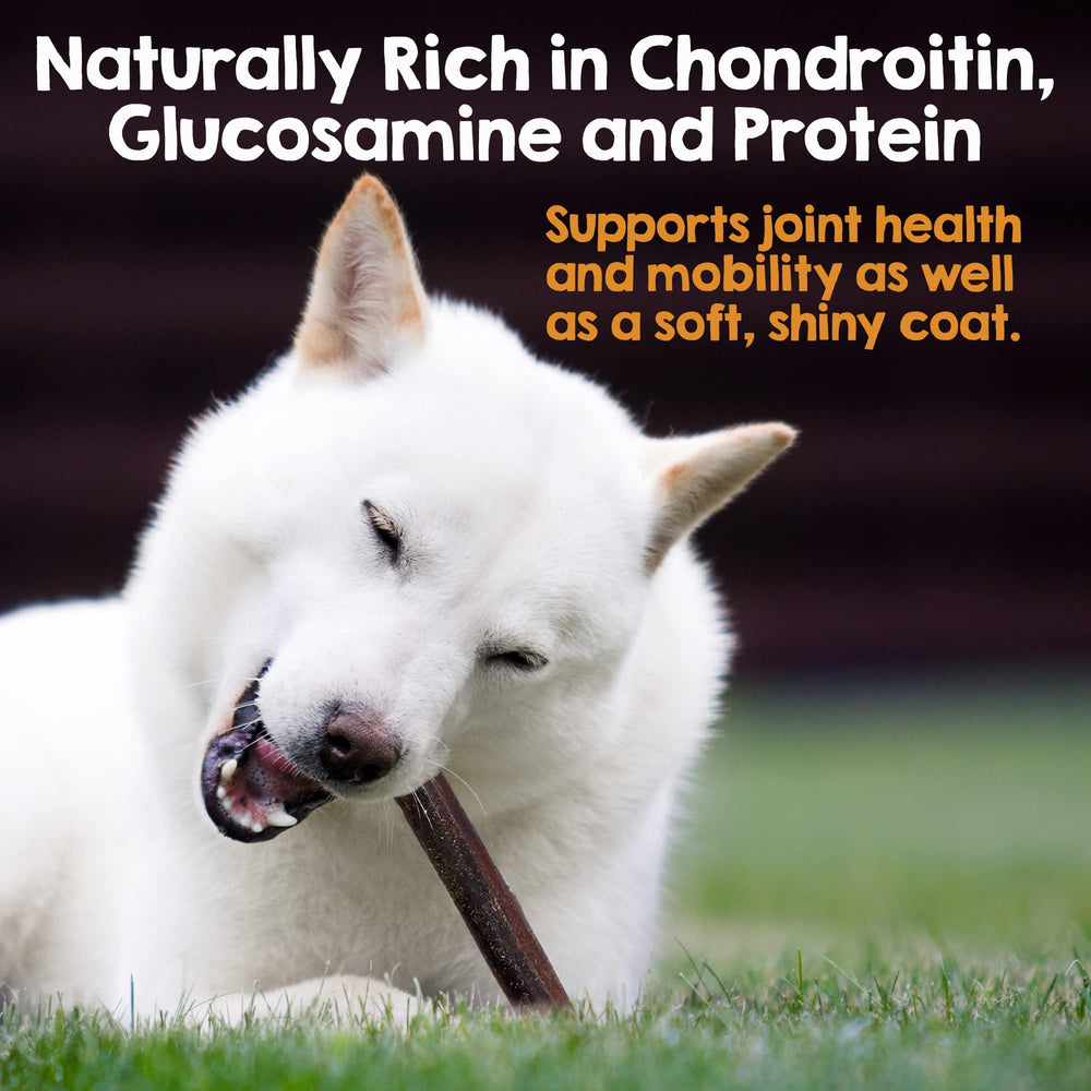 Riley's single-ingredient beef corium chew emphasizes simple, digestible ingredients for dogs.