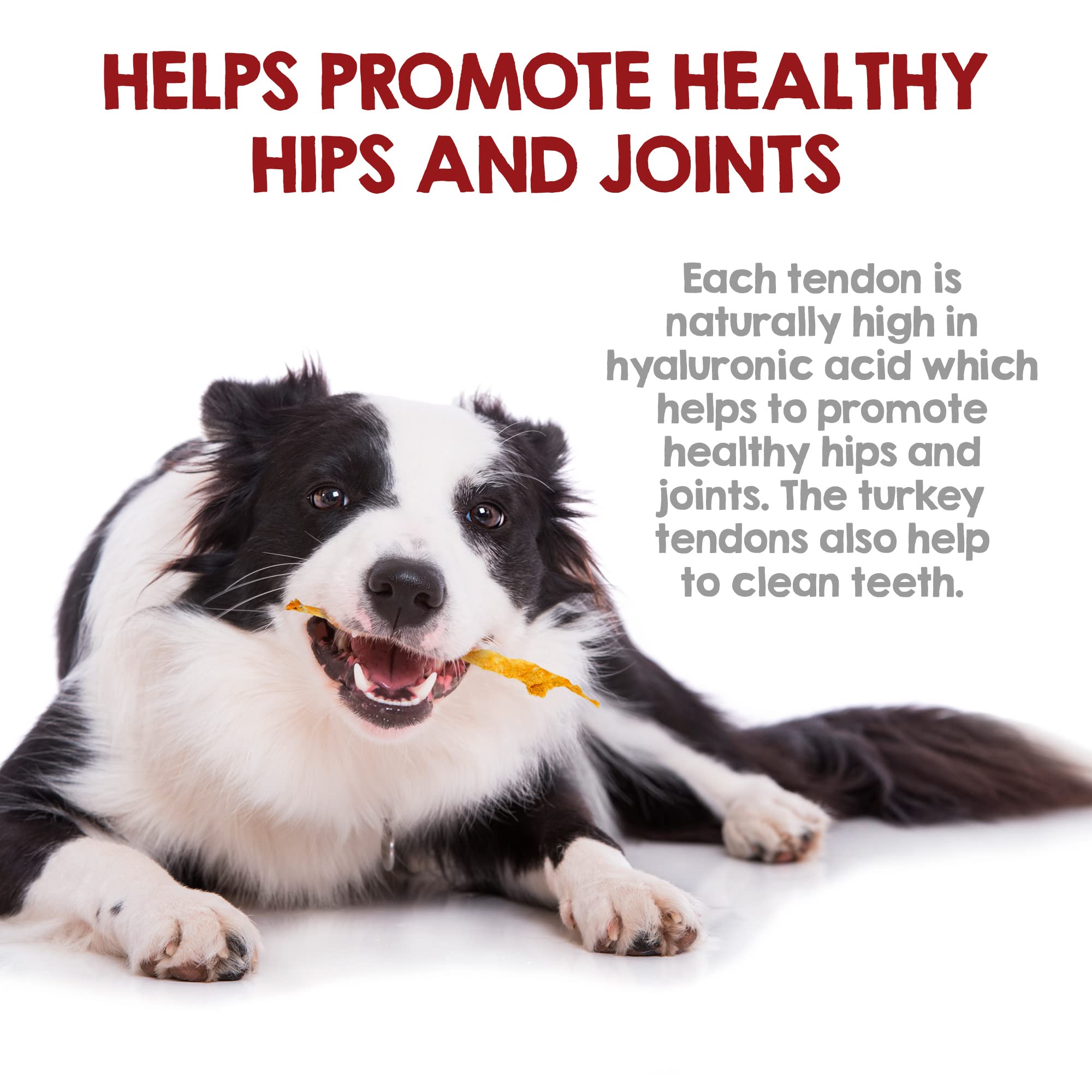 Riley's Turkey Tendon Chews made in USA label signals trusted sourcing.