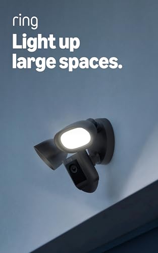 Ring Floodlight Cam Wired Pro 3D motion detection highlights precise activity.