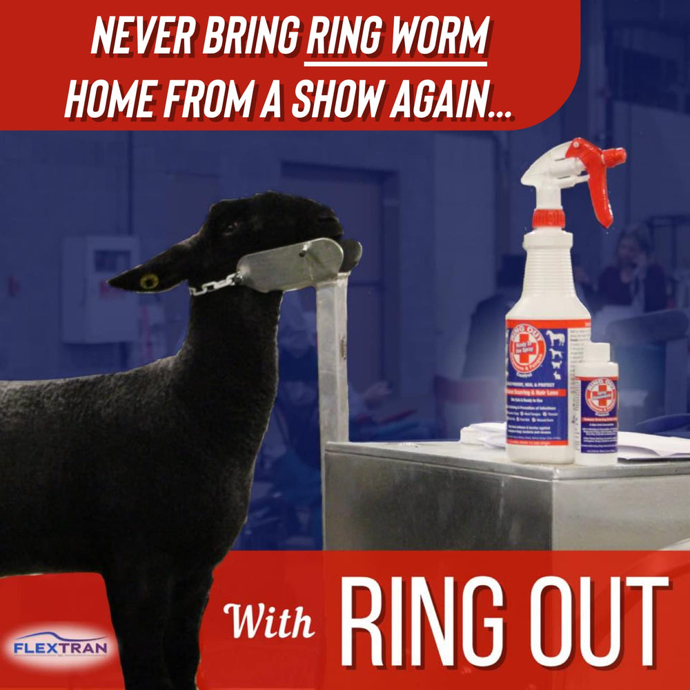 Ring Out concentrated 4oz bottle to make 32oz spray