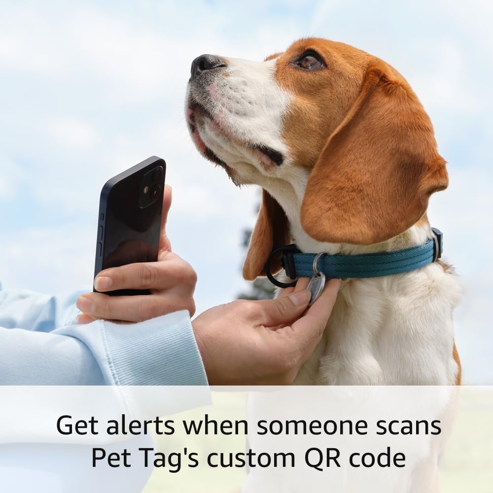 Ring Pet Tag real-time alerts notify owners when scanned