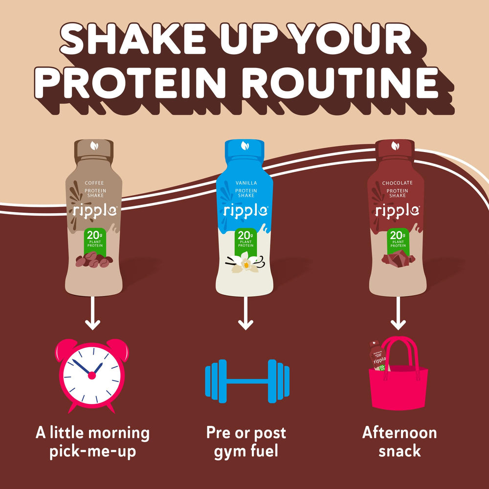Ripple vegan protein shake chocolate pack shot highlights value and multipack option