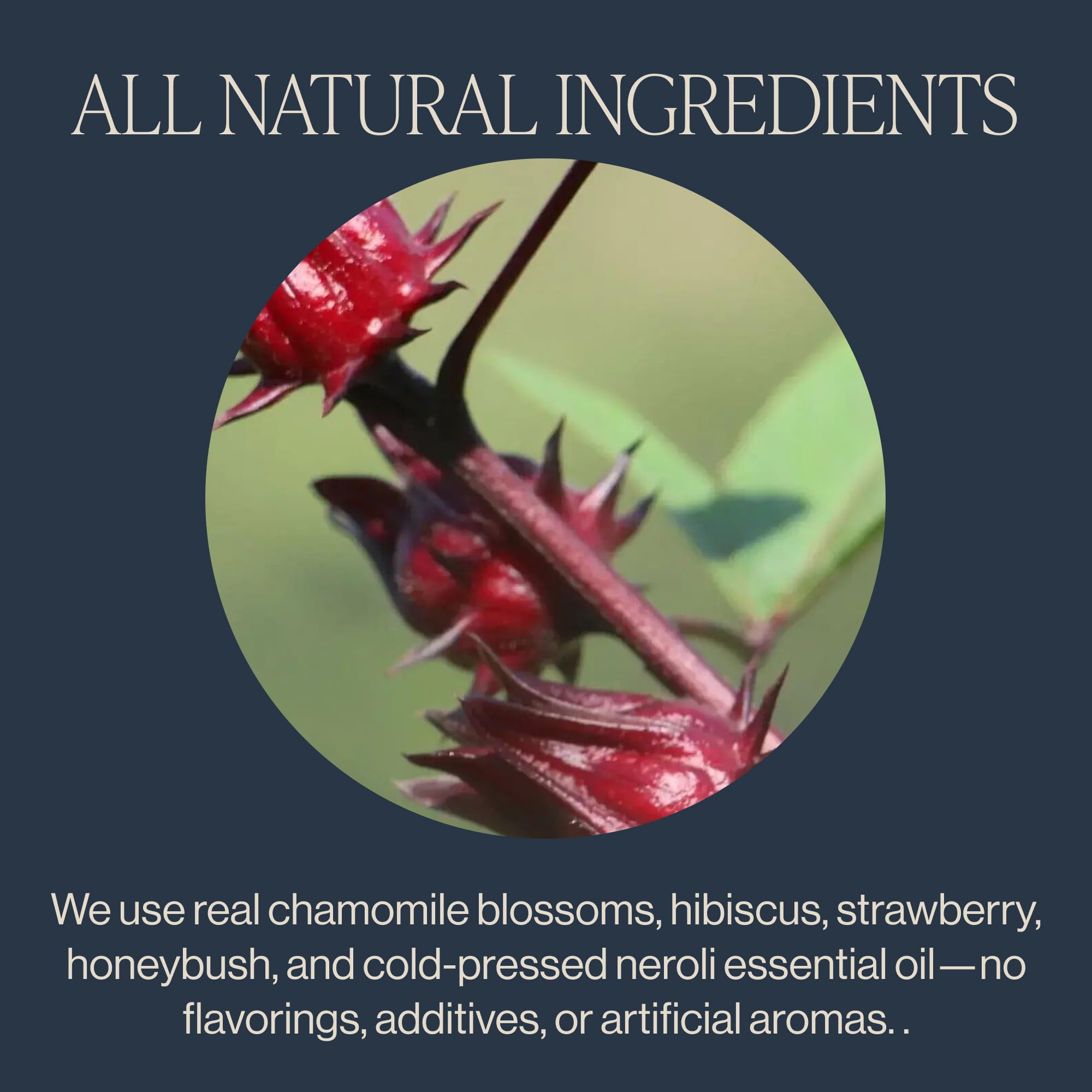 Rishi Garden Party hibiscus and strawberry in cup evoke bright, fruity notes.