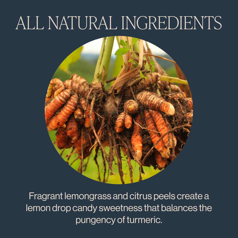 Rishi Tea citrus and lemongrass aroma brightening the cup