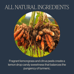 Rishi Tea citrus and lemongrass aroma brightening the cup