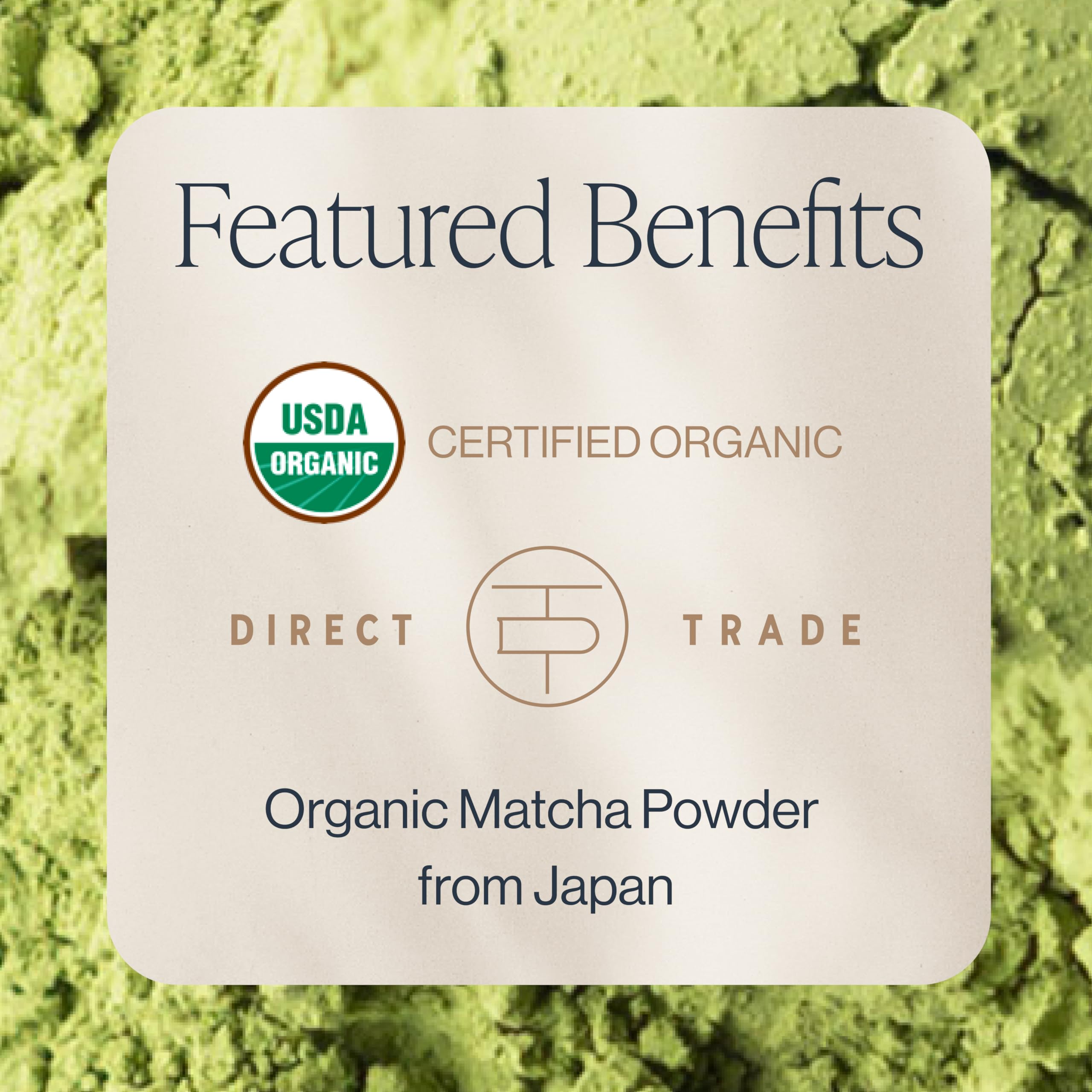 Rishi Tea Everyday Matcha tin back shows organic Japanese sourcing