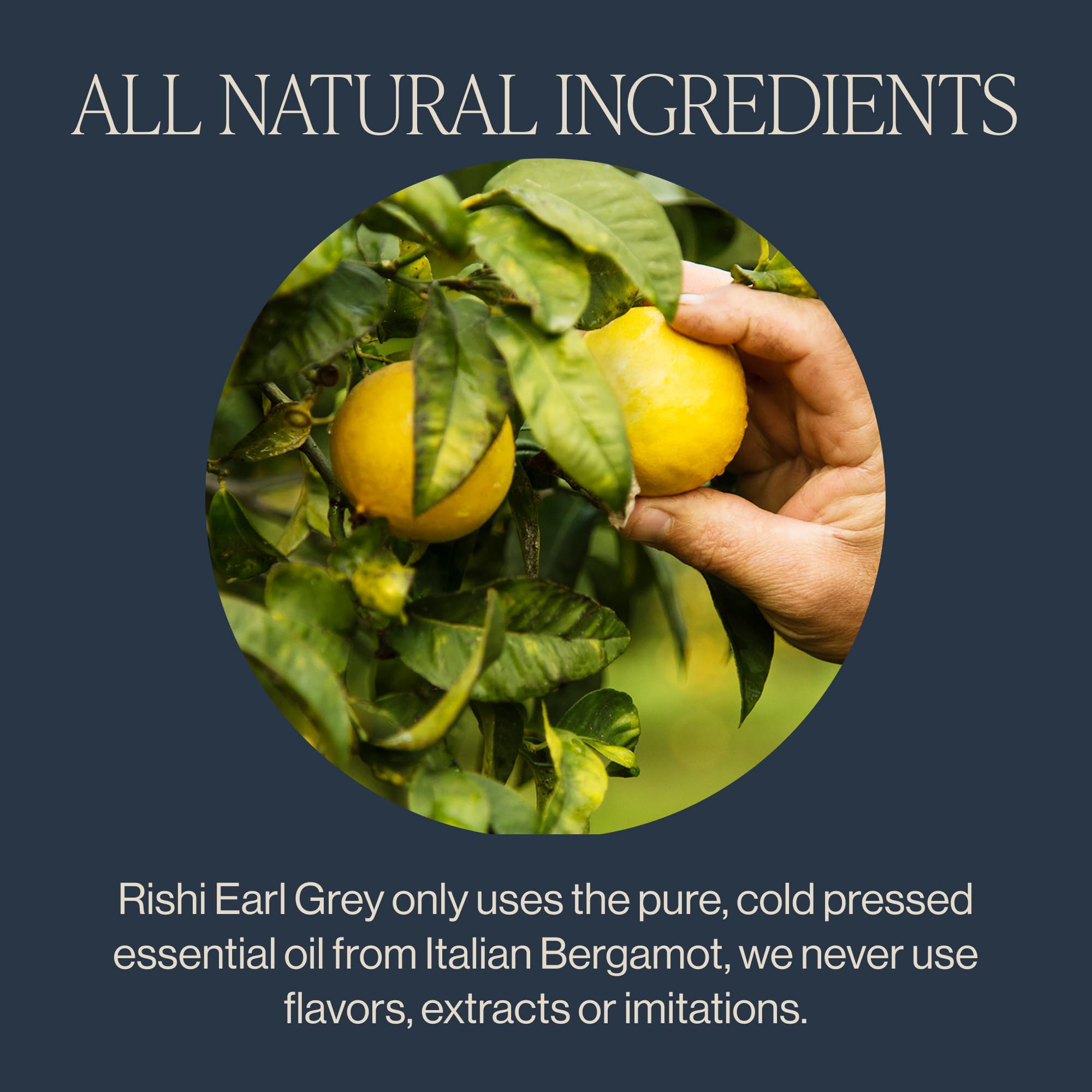 Organic sachet tea bags from Rishi Tea for clean brewing.