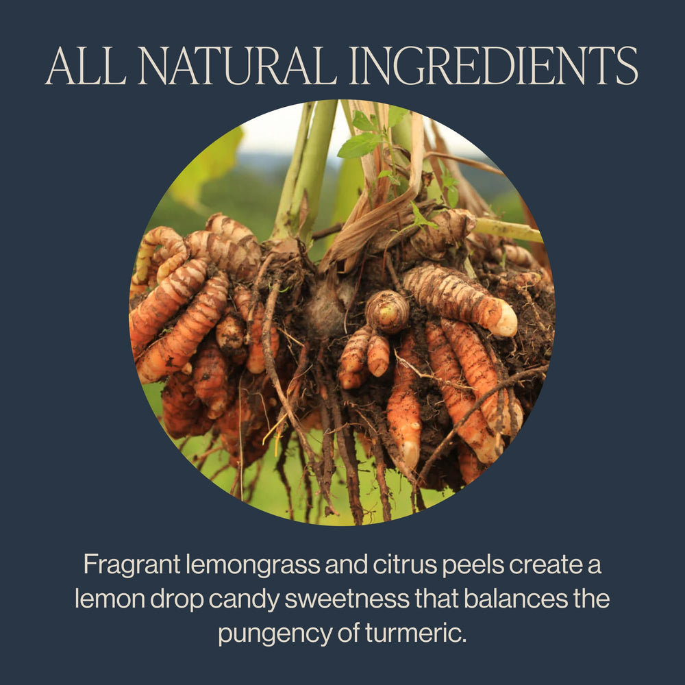 Rishi Tea Turmeric Ginger steeping water releases vibrant spice and citrus.