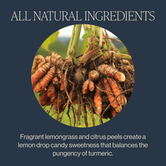 Rishi Tea Turmeric Ginger steeping water releases vibrant spice and citrus.