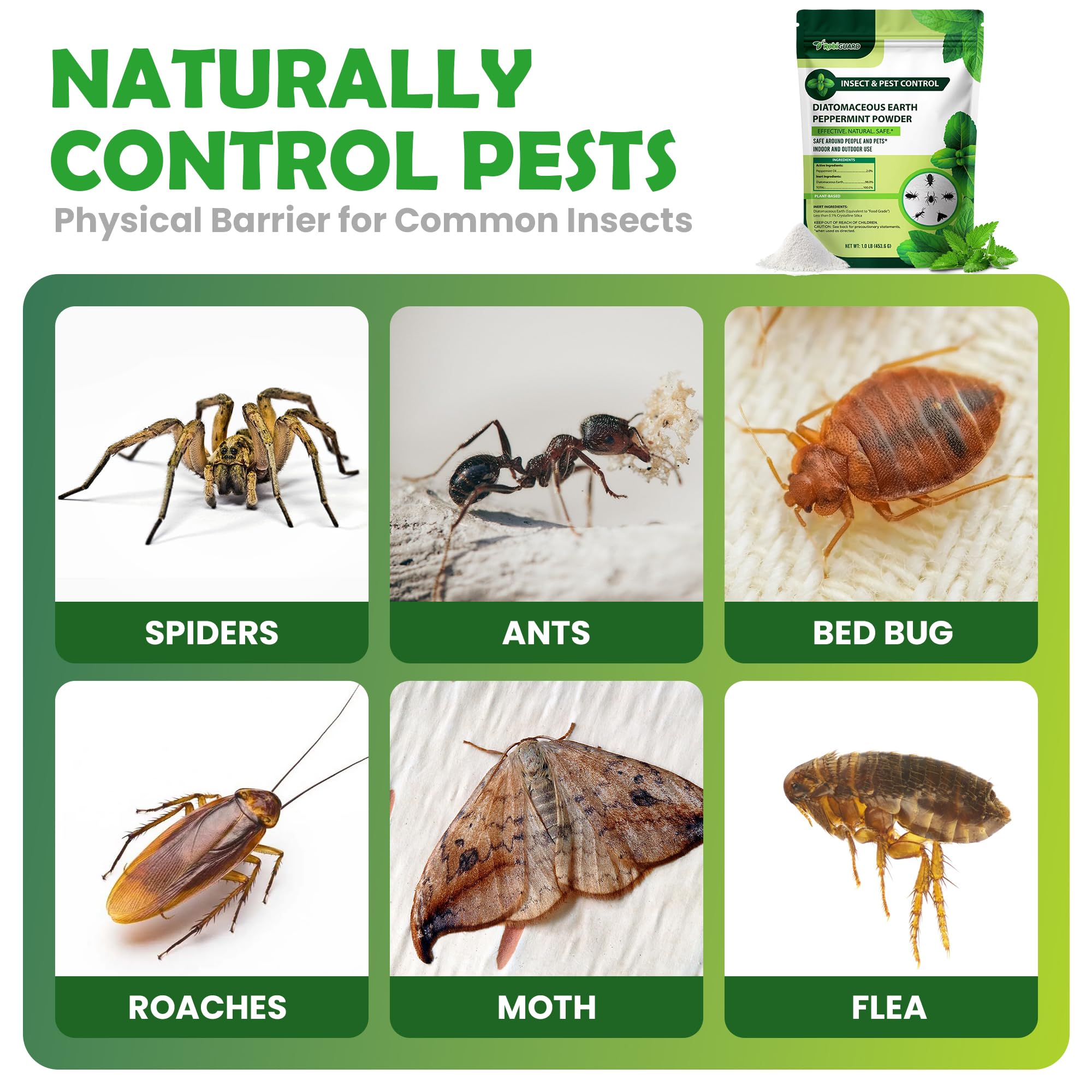 RobiGuard entry-point barrier: dust around doors and windows to deter crawling insects.